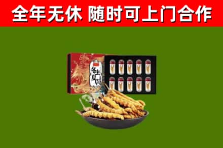 沂源回收冬虫夏草价格