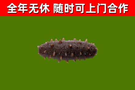 沂源烟酒回收干海参.jpg